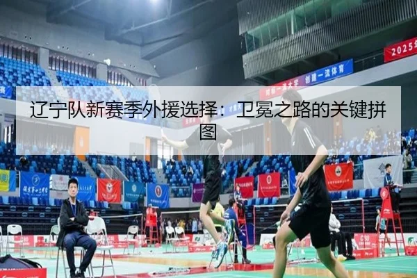 辽宁队新赛季外援选择：卫冕之路的关键拼图